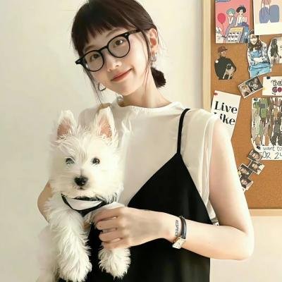 捣婚计划