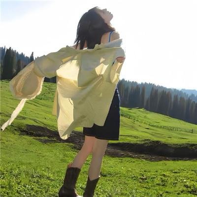 荒漠之虎